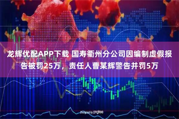 龙辉优配APP下载 国寿衢州分公司因编制虚假报告被罚25万，责任人曹某辉警告并罚5万