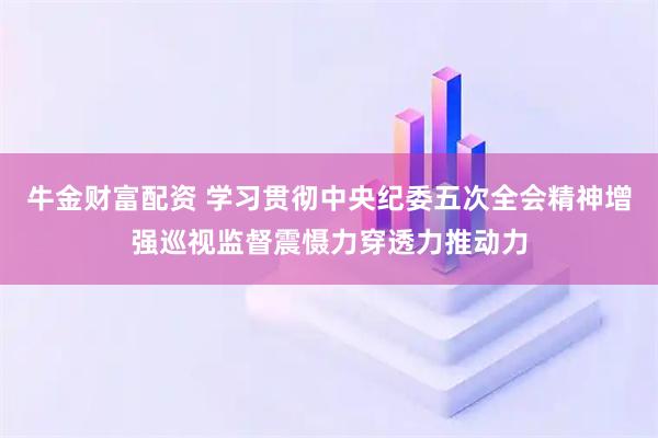 牛金财富配资 学习贯彻中央纪委五次全会精神增强巡视监督震慑力穿透力推动力