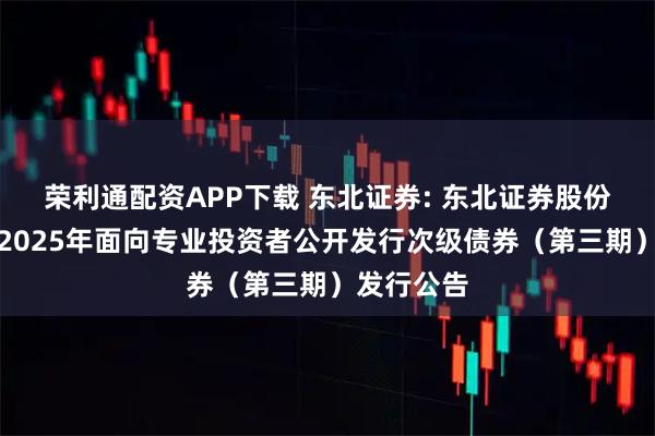 荣利通配资APP下载 东北证券: 东北证券股份有限公司2025年面向专业投资者公开发行次级债券（第三期）发行公告