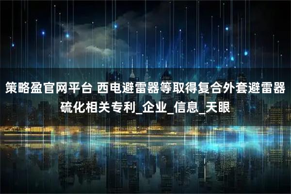策略盈官网平台 西电避雷器等取得复合外套避雷器硫化相关专利_企业_信息_天眼